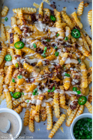 Special loaded fries
