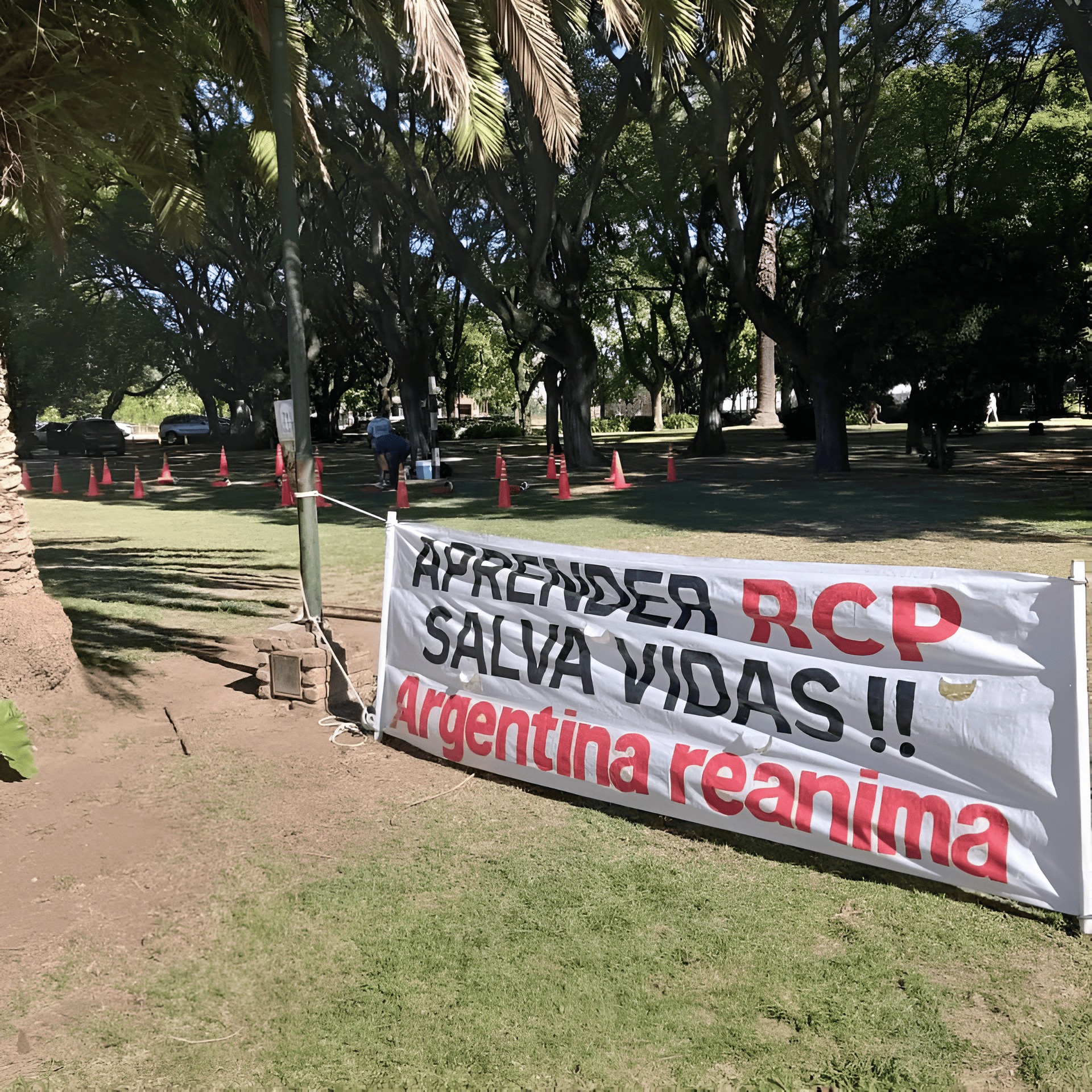 Actividad de Argentina Reanima 8