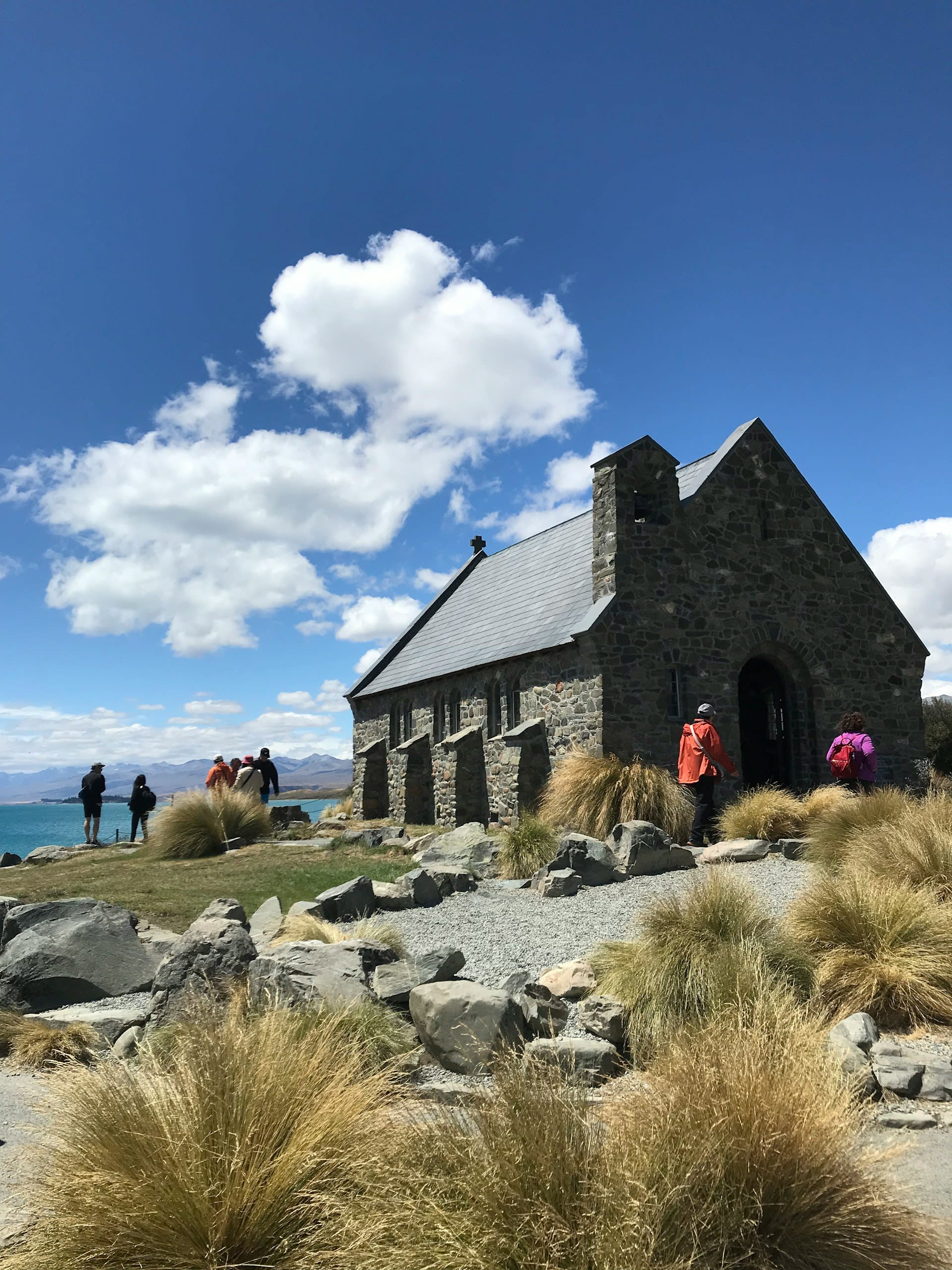 New Zealand Life 4