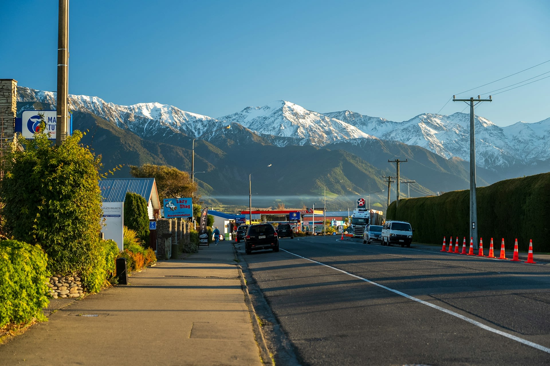 New Zealand Life 1