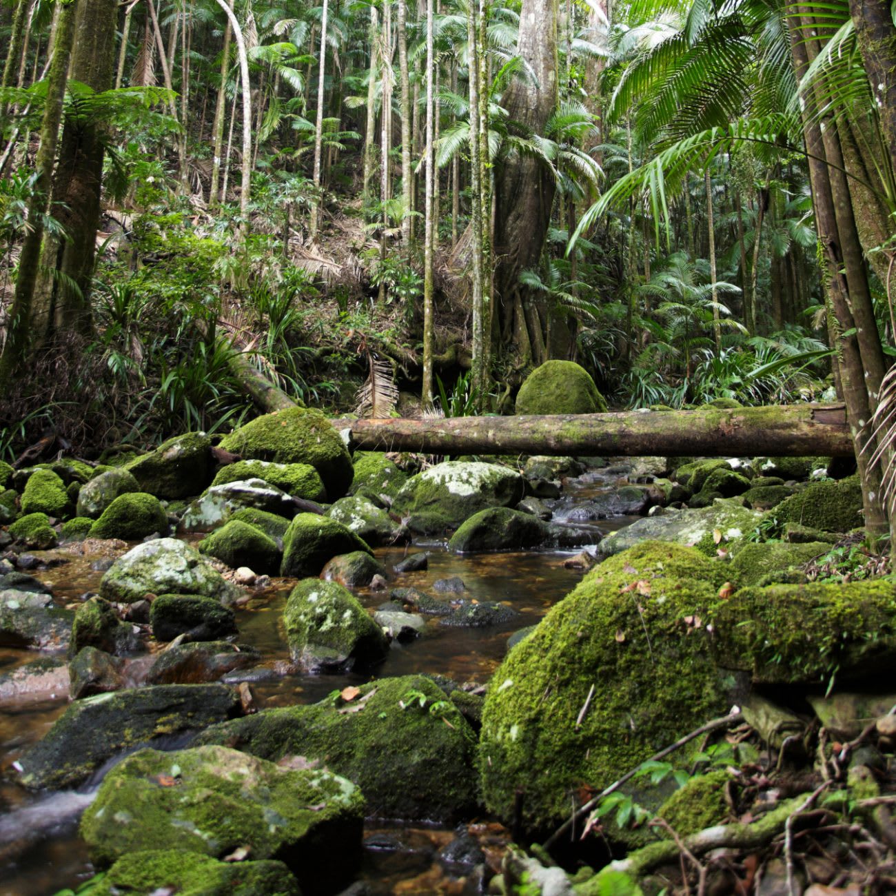 The Environment & Sustainability