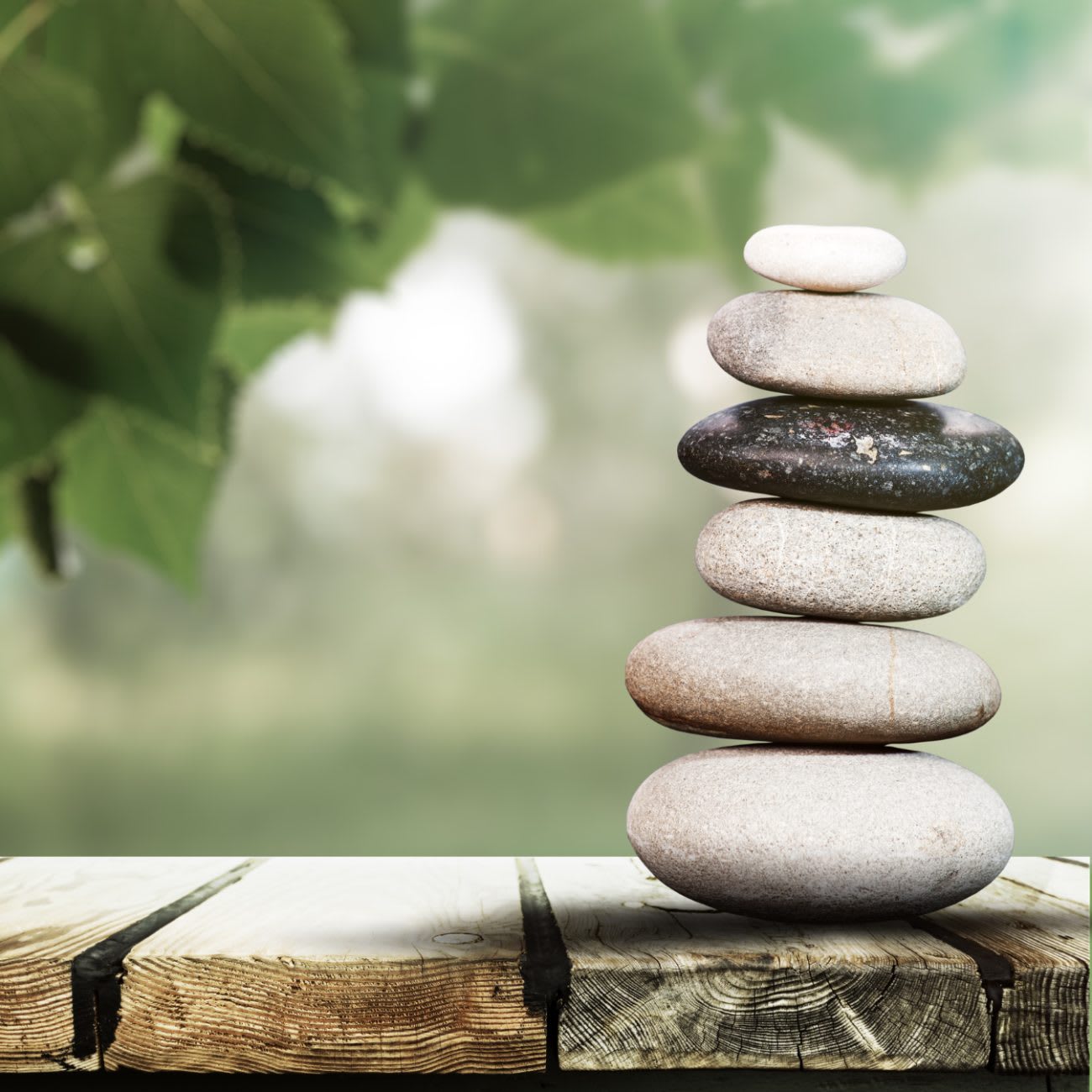 Health & Wellness