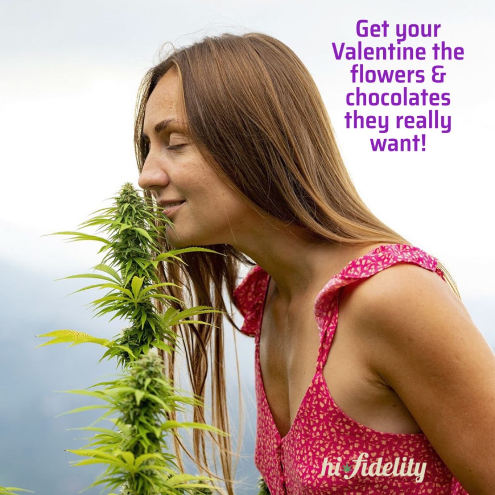 Gifts at Hi-Fidelity