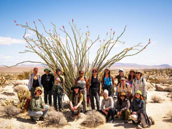 Gifts at Berkeley Herbal Center