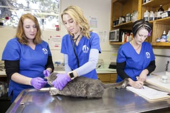 Gifts at Berkeley Humane
