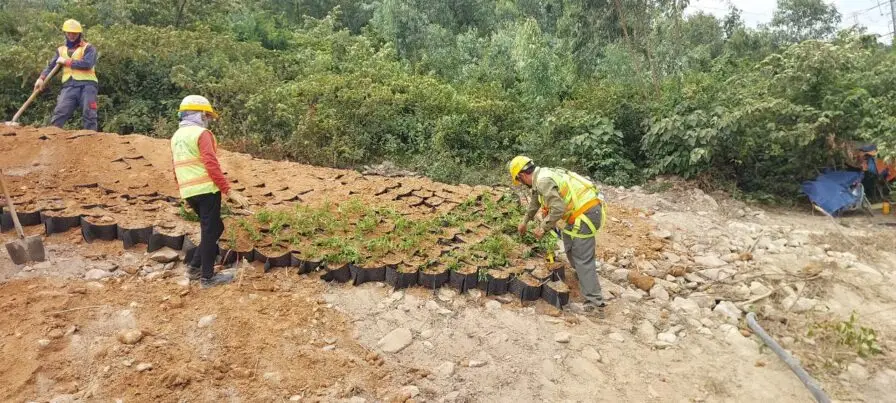 Mái Dốc Taluy Sự Cân Bằng Giữa Kỹ Thuật và Thiên Nhiên