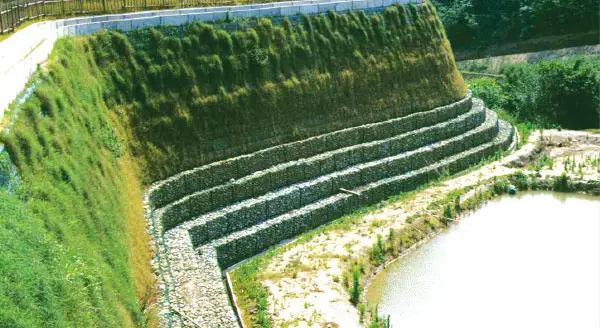 Mái Dốc Taluy Sự Cân Bằng Giữa Kỹ Thuật và Thiên Nhiên