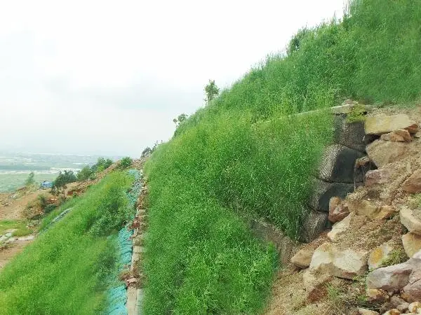 Kè Chắn Đất Hiện thân của Sự Kiên Cường Trước Thiên Nhiên