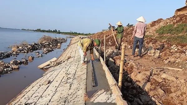 Thành Trì Xanh Biển Đê điều - Hào Anh Dũng Của Dân Tộc