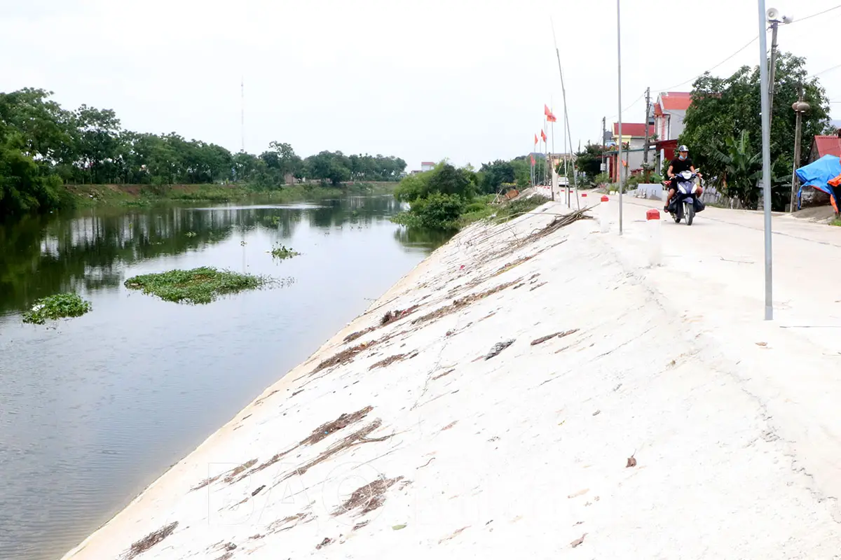 Thành Trì Xanh Biển Đê điều - Hào Anh Dũng Của Dân Tộc