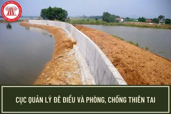 Những câu chuyện phía sau bức tường nước Đê điều là gì