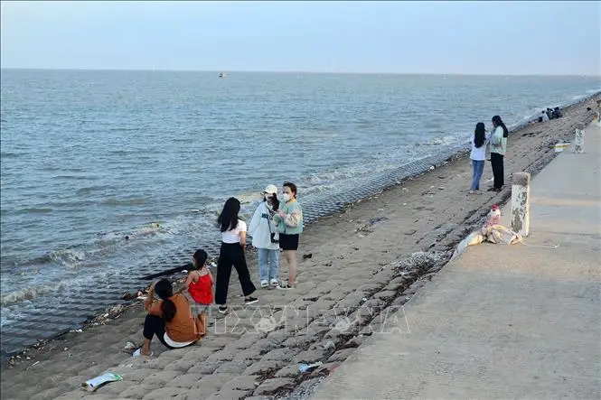 Đê Biển - Tấm Lá Chắn Vững Chãi Bảo Vệ Tương Lai Bền Vững