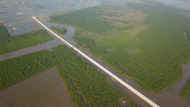 Những câu chuyện được ẩn giấu bên trong những bức tường đê biển