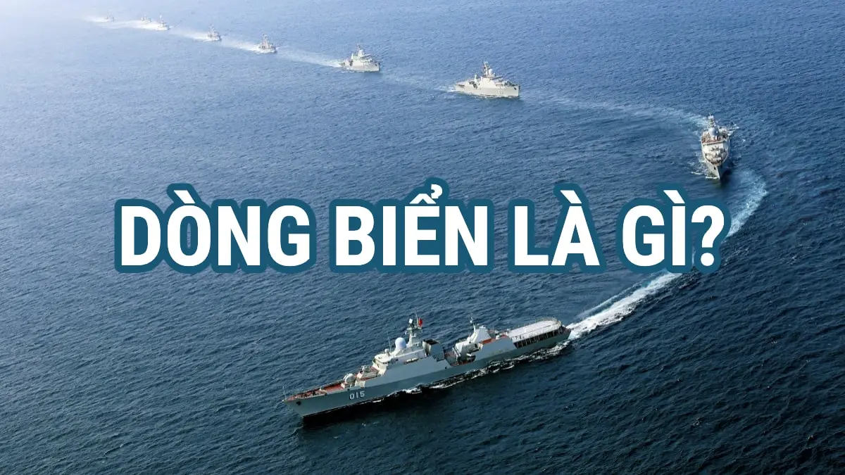 Những câu chuyện được ẩn giấu bên trong những bức tường đê biển