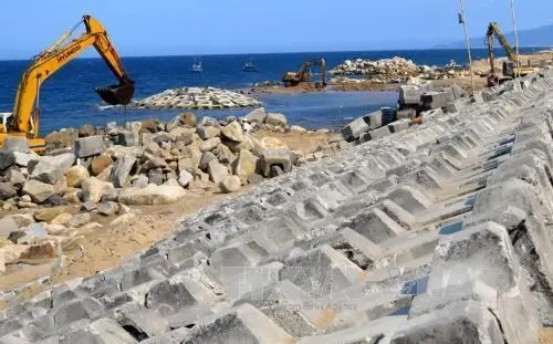 Khúc Ca Biển Cả và Những Bức Tường Kiên Cường Đê chắn sóng