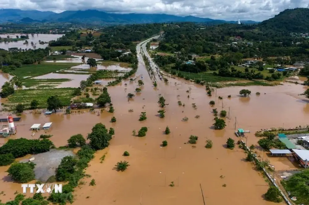 Cách ứng phó với lũ lụt