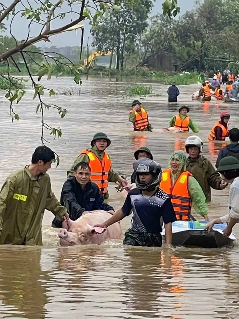 Dấu Ấn Giáp Thìn Bão Lụt và Bài Học Về Sự Kiên Cường
