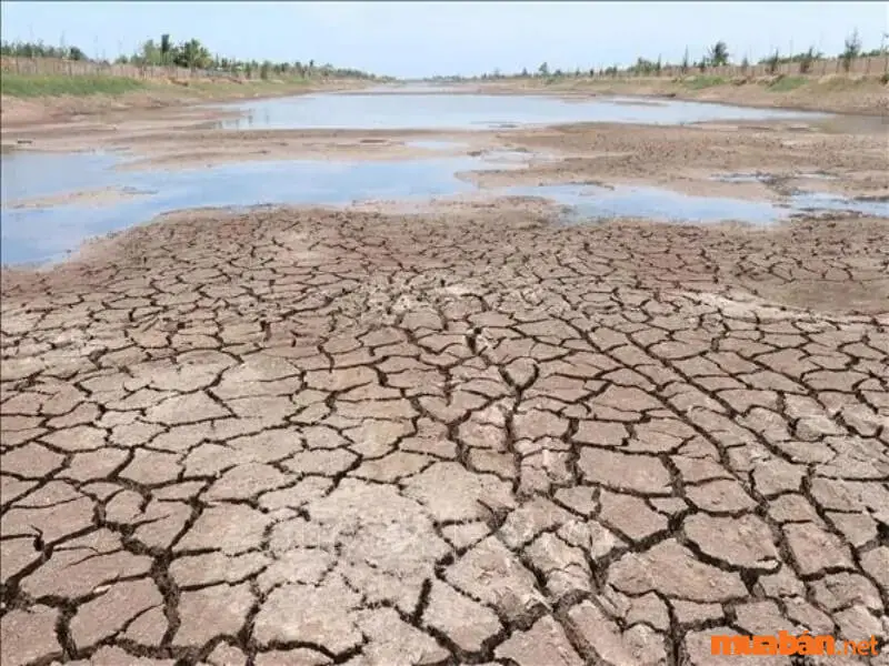 Chiến Tranh Vô Hình Chống Xói Mòn