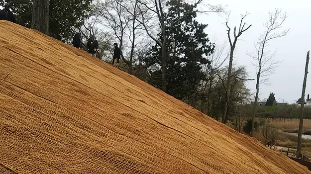 Chiến Tranh Vô Hình Chống Xói Mòn