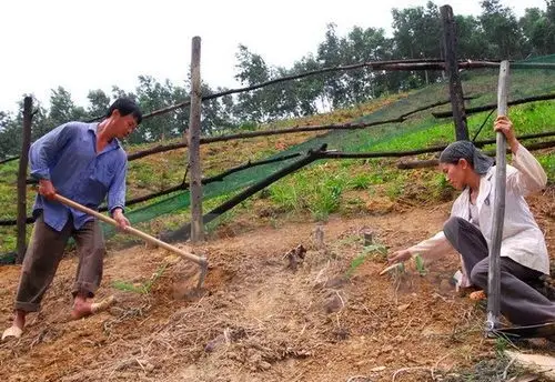 Chiến Tranh Vô Hình Chống Xói Mòn Đất