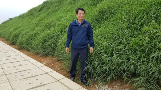 Trồng cây chống xói mòn