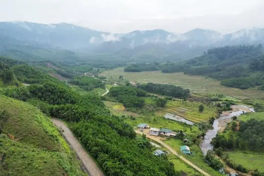 Trồng cây chống xói mòn