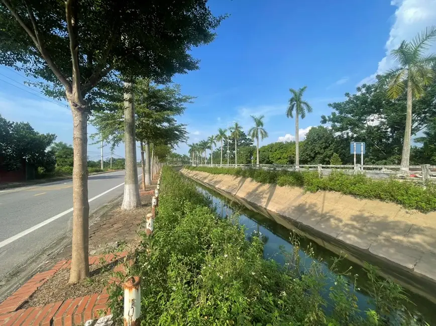 Những Điều Cần Biết về Kênh Mương - Công Trình Thủy Lợi Vô Cùng Quan Trọng trong Nông Nghiệp