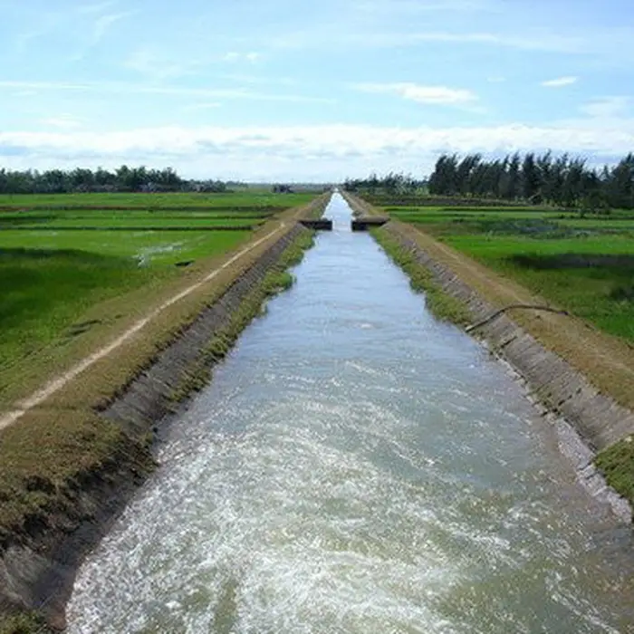 Những Điều Cần Biết về Kênh Mương - Công Trình Thủy Lợi Vô Cùng Quan Trọng trong Nông Nghiệp