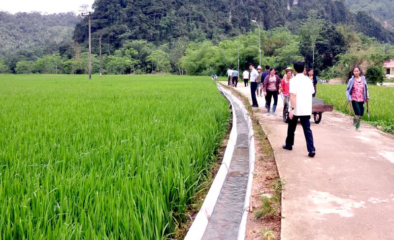 Những Điều Cần Biết về Kênh Mương - Công Trình Thủy Lợi Vô Cùng Quan Trọng trong Nông Nghiệp