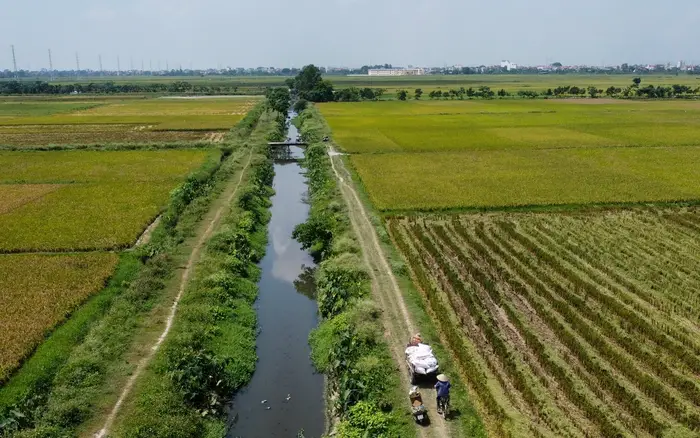 Kênh mương nội đồng là gì?