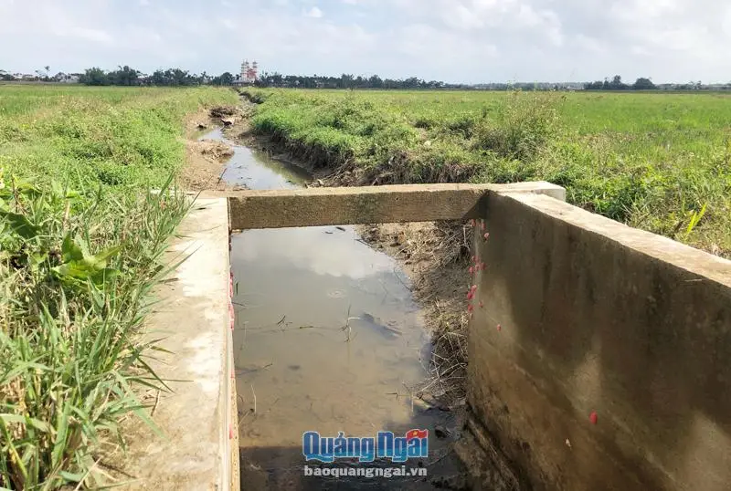 Kênh mương nội đồng là gì?
