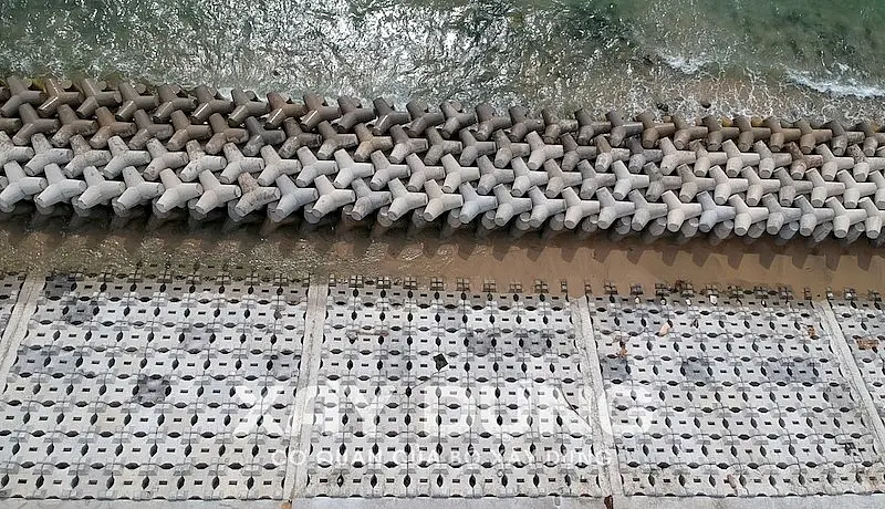 Hành Trình Xanh Bảo Vệ Bờ Biển Vì Một Tương Lai Bền Vững