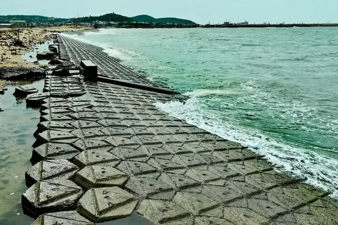 Hành Trình Xanh Bảo Vệ Bờ Biển Vì Một Tương Lai Bền Vững