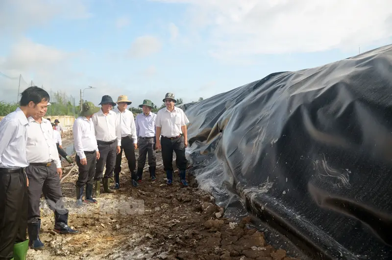 Chôn lấp rác
