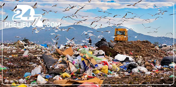 Chôn lấp rác thải nhựa