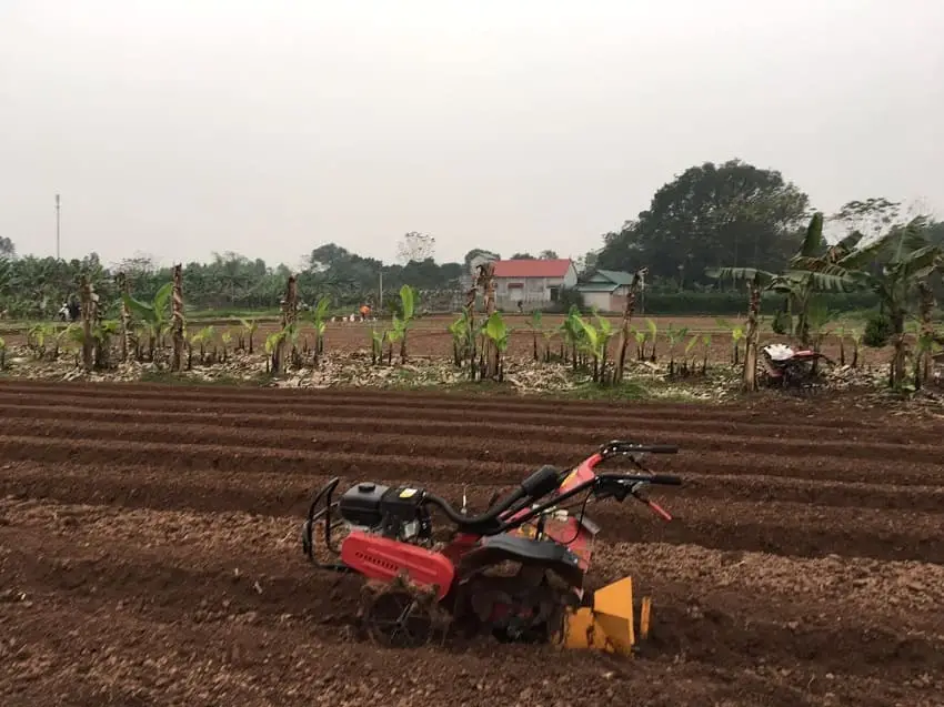 Hành Trình Khôi Phục Nghệ Thuật Cải Tạo Đất