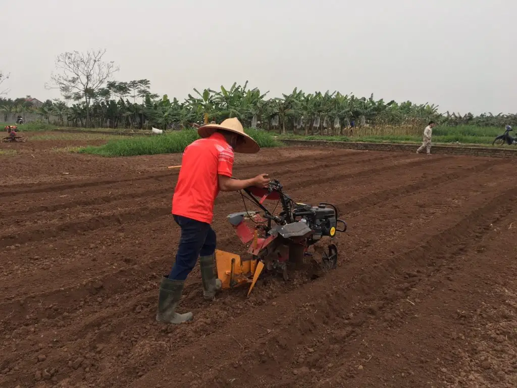 Cách Cải Tạo Đất Khô Cằn
