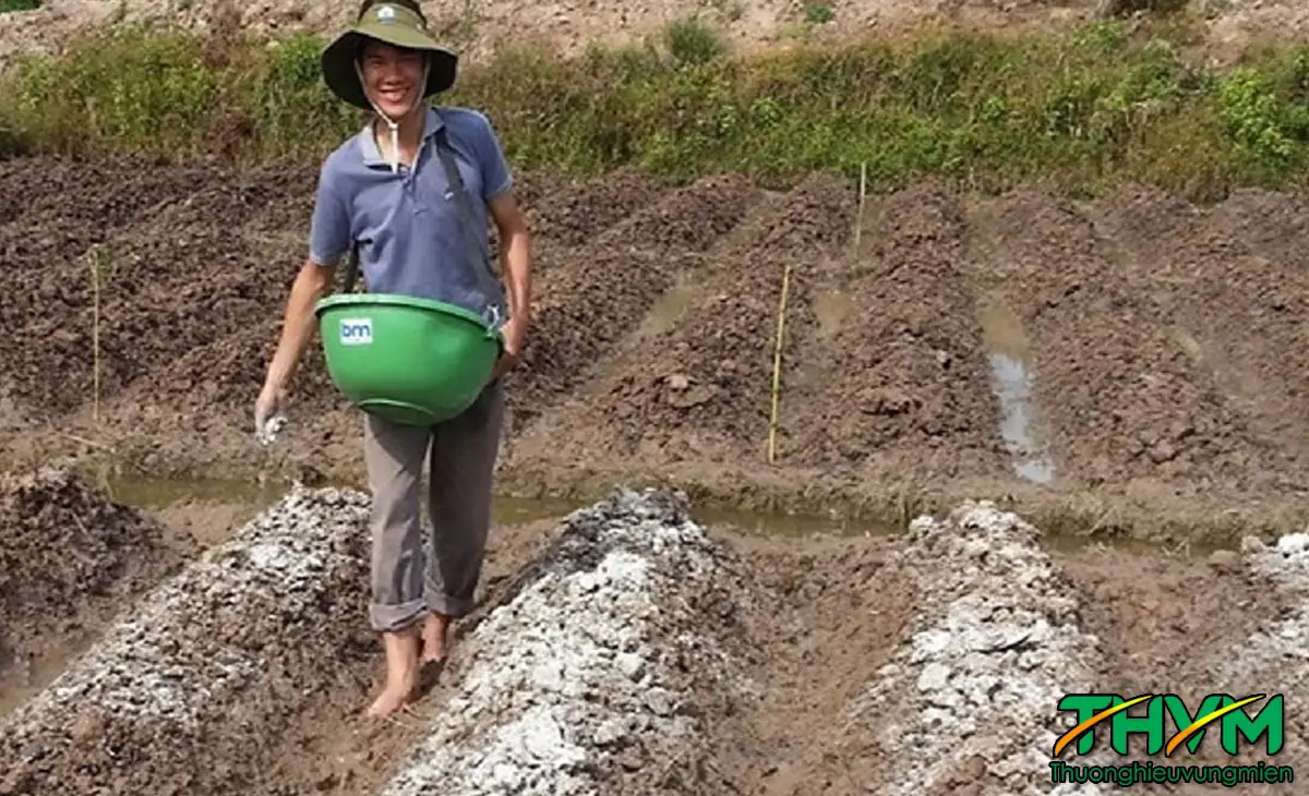 Cách Cải Tạo Đất Khô Cằn