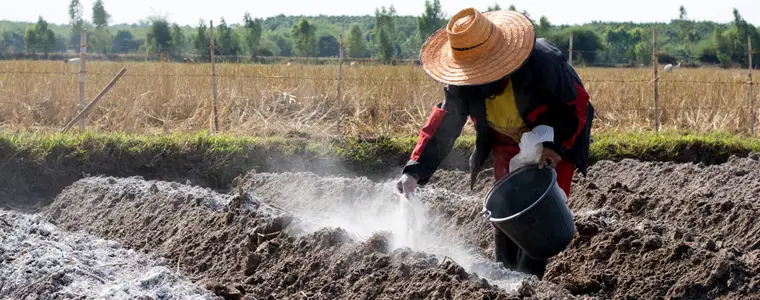 Hồi Sinh Đất Sét Khơi Nguồn Sự Sống Từ Mảnh Đất Cằn Cỗi