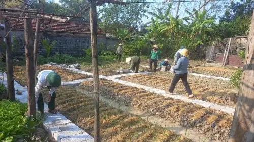 Cách Cải Tạo Đất Vườn