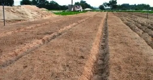 Cách Cải Tạo Đất Vườn