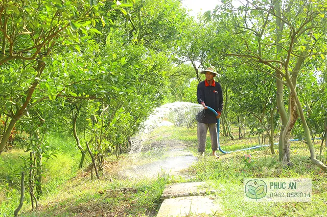 Cách Cải Tạo Đất Vườn