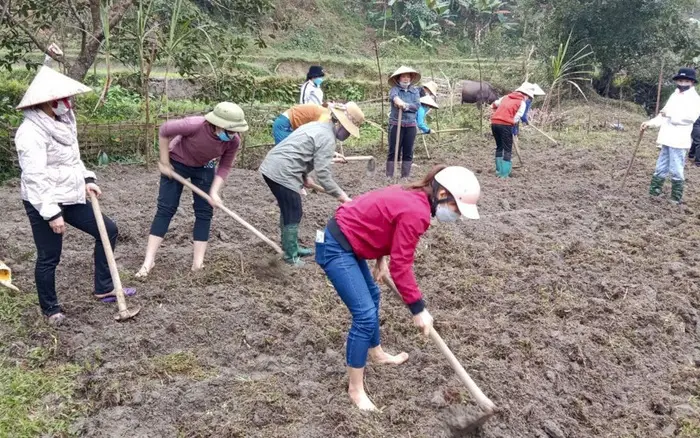 Cách Cải Tạo Đất Vườn