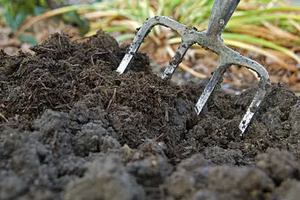 Khám Phá Vẻ Đẹp Trong Cải Tạo Đất Cát
