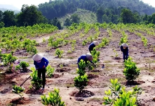 Hồi Sinh Mẹ Đất Cách cải tạo đất để một tương lai xanh