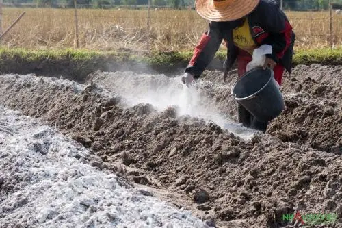 Hồi Sinh Mẹ Đất Cách cải tạo đất để một tương lai xanh