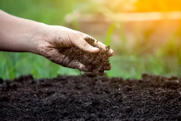 Hồi Sinh Mẹ Đất Cách cải tạo đất để một tương lai xanh