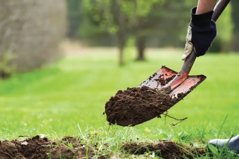 Hồi Sinh Mẹ Đất Cách cải tạo đất để một tương lai xanh