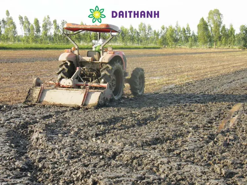 Hồi Sinh Mẹ Đất Cách cải tạo đất để một tương lai xanh