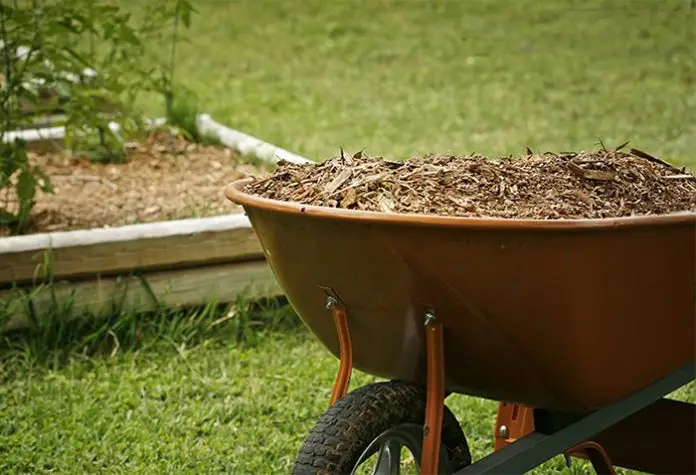 Hồi Sinh Mẹ Đất Cách cải tạo đất để một tương lai xanh